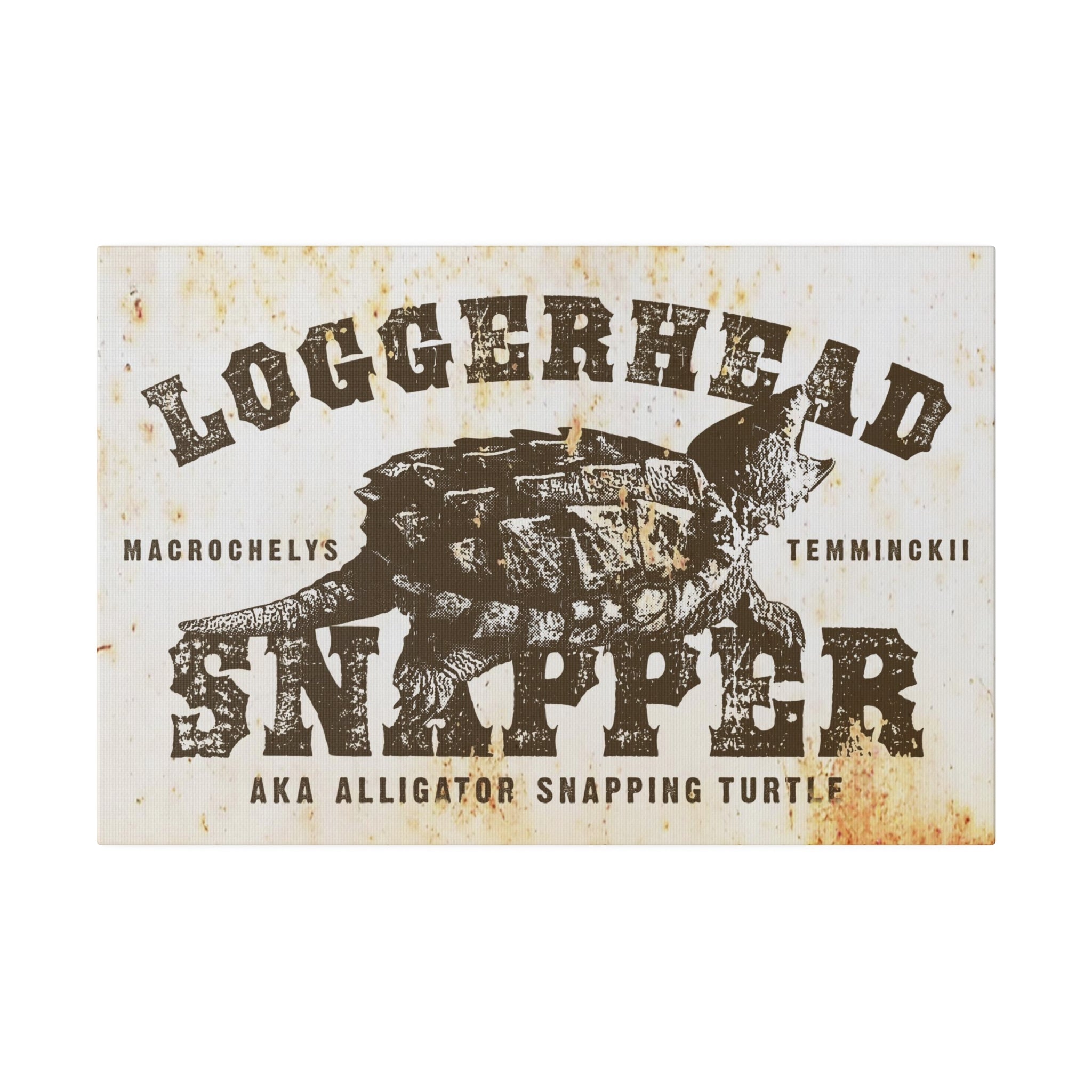 Wildlife Wall Decor - Loggerhead Snapper - Canvas Sign