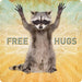 Blank example of Sunshine Corner's customizable, raccoon decor that says, "Free Hugs".