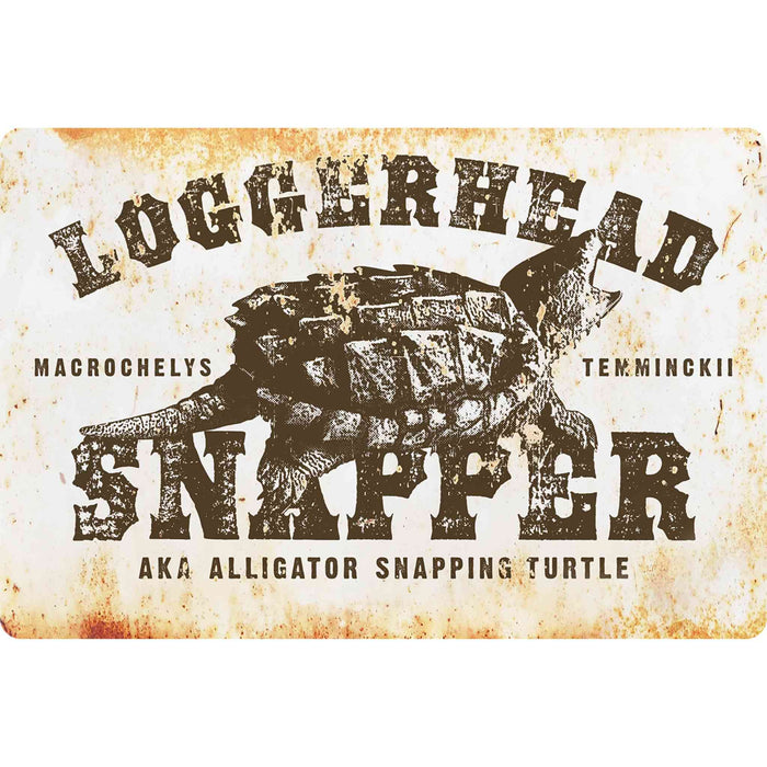 Blank example of Sunshine Corner's turtle decor and swamp sign that says, "Loggerhead Snapper - AKA alligator snapping turtle - Macrochelys Temminckii".
