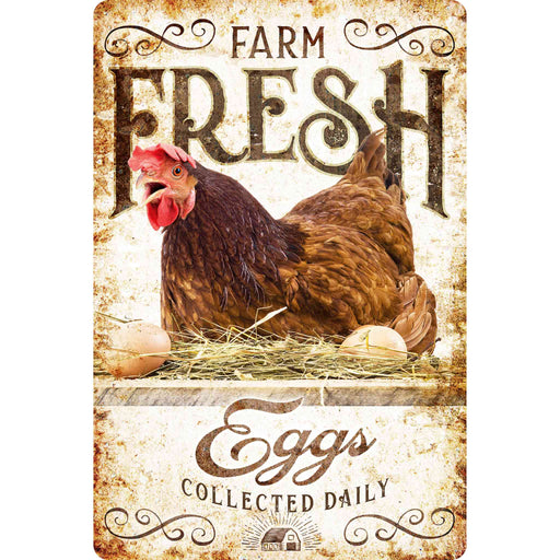 Sunshine Corner's customizable, farm fresh eggs sign and chicken coop decor that says, "Farm fresh eggs collected daily".