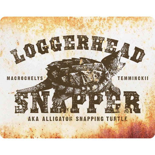 Sunshine Corner's turtle decor and swamp sign that says, "Loggerhead Snapper - AKA alligator snapping turtle - Macrochelys Temminckii".